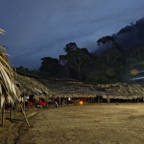 Yanomami-landsby om kvelden