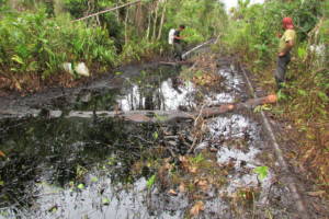 Oljesøl i elv i regnskog