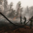 Gigantisk oljefond-investert selskap har ikke kontroll på branner i Indonesia