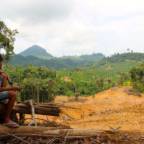 En ung gutt siter og ser ut over et nedhogd skogområde i Indonesia. 