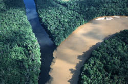 Flyfoto av to elver i regnskogen som møtes